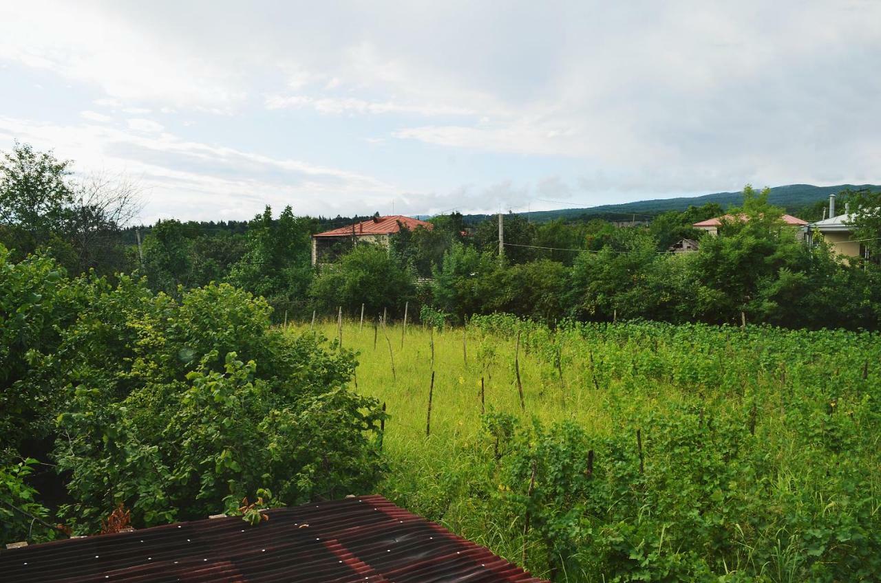 Hotel Kisi House Kisiskhevi Zewnętrze zdjęcie