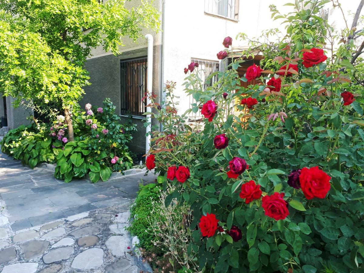 Hotel Kisi House Kisiskhevi Zewnętrze zdjęcie